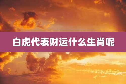 白虎代表财运什么生肖呢