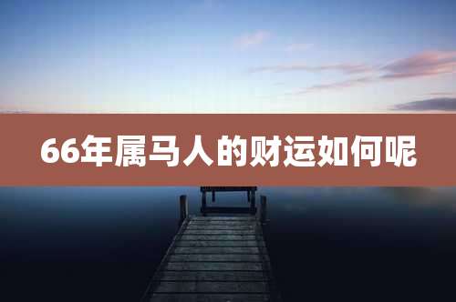 66年属马人的财运如何呢