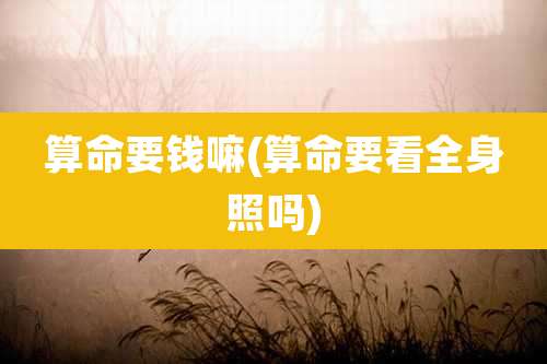 算命要钱嘛(算命要看全身照吗)