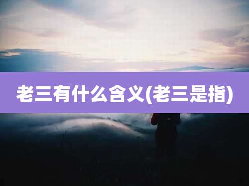 老三有什么含义(老三是指)