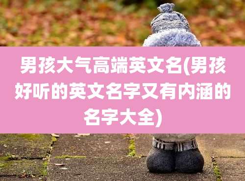 男孩大气高端英文名(男孩好听的英文名字又有内涵的名字大全)