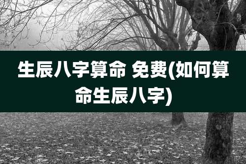 生辰八字算命 免费(如何算命生辰八字)