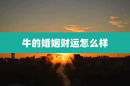 牛的婚姻财运怎么样