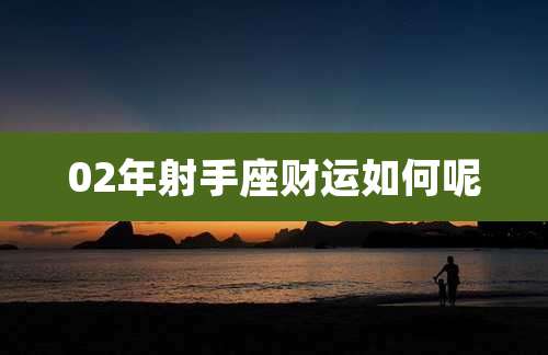 02年射手座财运如何呢