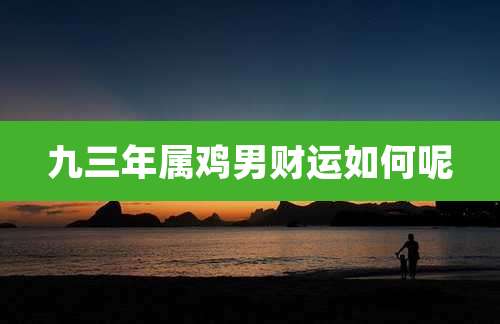 九三年属鸡男财运如何呢