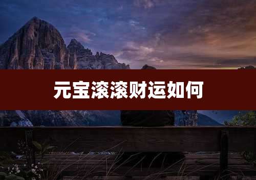 元宝滚滚财运如何