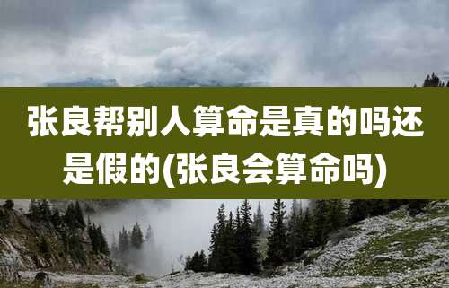 张良帮别人算命是真的吗还是假的(张良会算命吗)