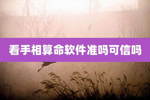 看手相算命软件准吗可信吗