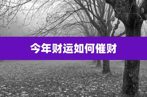 今年财运如何催财