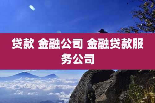贷款 金融公司 金融贷款服务公司