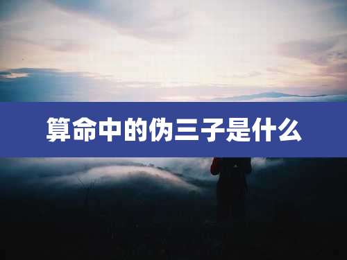 算命中的伪三子是什么