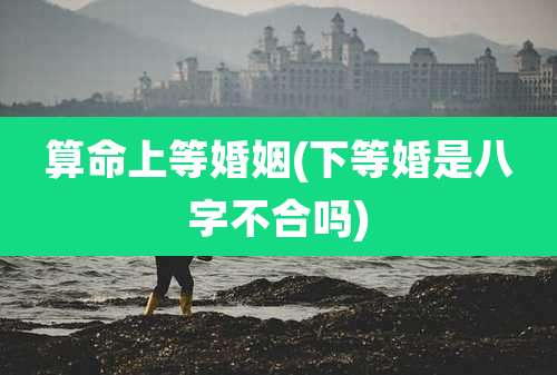 算命上等婚姻(下等婚是八字不合吗)