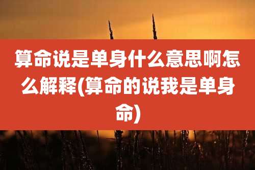 算命说是单身什么意思啊怎么解释(算命的说我是单身命)