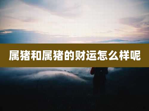 属猪和属猪的财运怎么样呢