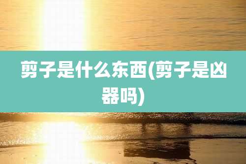 剪子是什么东西(剪子是凶器吗)