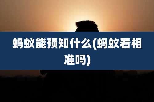 蚂蚁能预知什么(蚂蚁看相准吗)