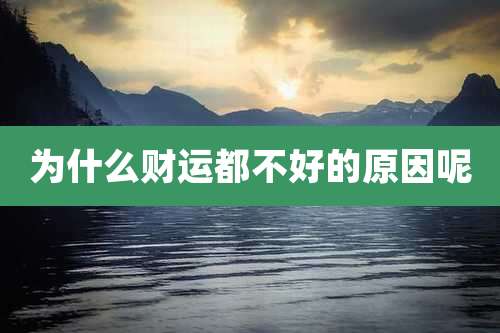 为什么财运都不好的原因呢