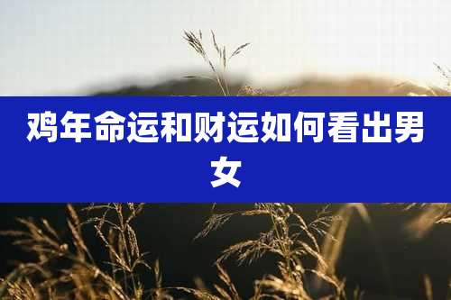 鸡年命运和财运如何看出男女