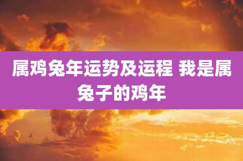 属鸡兔年运势及运程 我是属兔子的鸡年