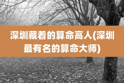 深圳藏着的算命高人(深圳最有名的算命大师)