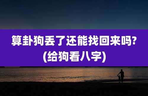 算卦狗丢了还能找回来吗?(给狗看八字)