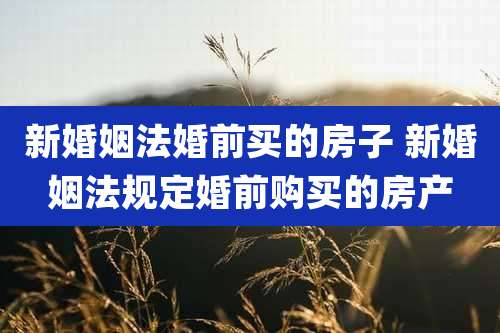新婚姻法婚前买的房子 新婚姻法规定婚前购买的房产