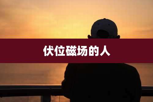 伏位磁场的人