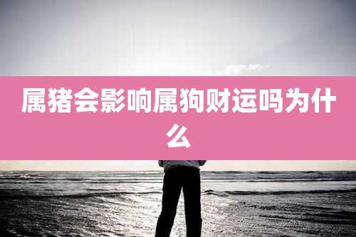 属猪会影响属狗财运吗为什么