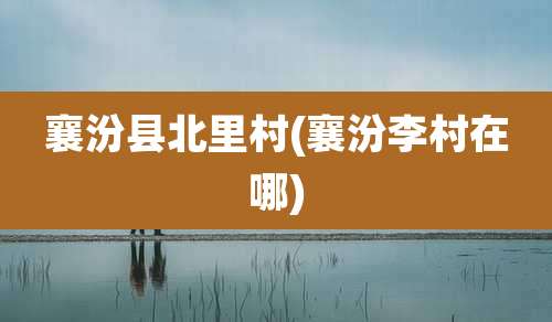 襄汾县北里村(襄汾李村在哪)