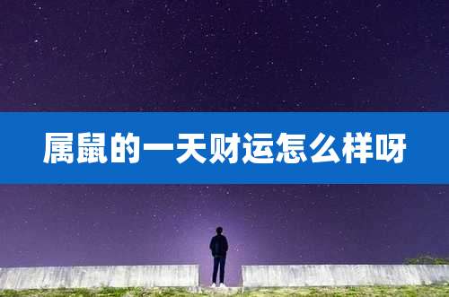 属鼠的一天财运怎么样呀