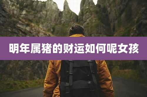 明年属猪的财运如何呢女孩