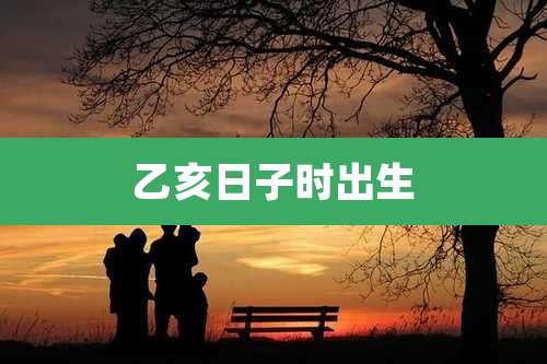 乙亥日子时出生