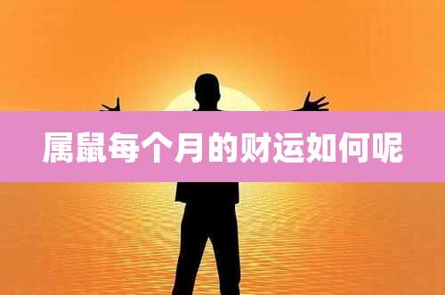 属鼠每个月的财运如何呢