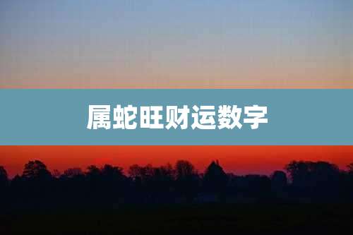 属蛇旺财运数字