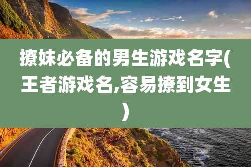 撩妹必备的男生游戏名字(王者游戏名,容易撩到女生)