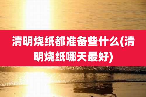 清明烧纸都准备些什么(清明烧纸哪天最好)