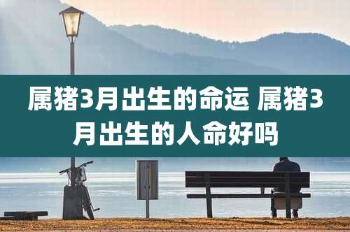 属猪3月出生的命运 属猪3月出生的人命好吗