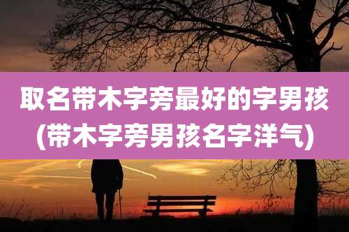 取名带木字旁最好的字男孩(带木字旁男孩名字洋气)