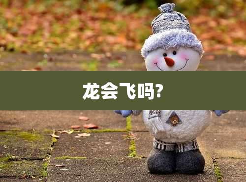 龙会飞吗?