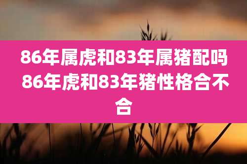 86年属虎和83年属猪配吗 86年虎和83年猪性格合不合