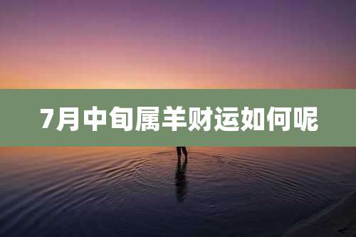 7月中旬属羊财运如何呢