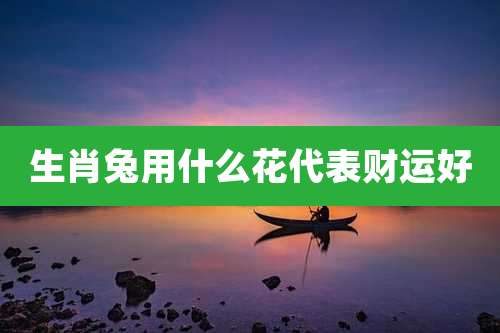 生肖兔用什么花代表财运好