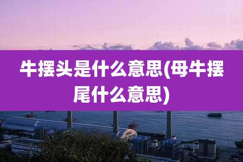 牛摆头是什么意思(母牛摆尾什么意思)