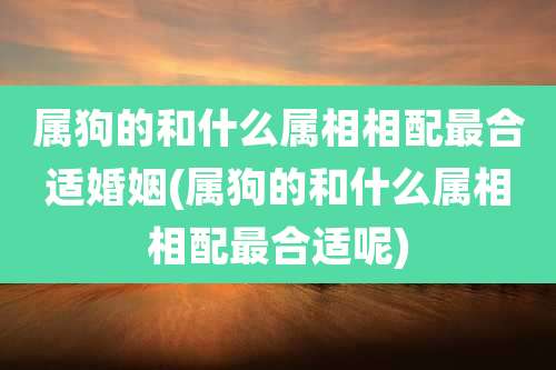 属狗的和什么属相相配最合适婚姻(属狗的和什么属相相配最合适呢)