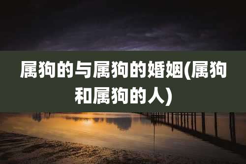 属狗的与属狗的婚姻(属狗和属狗的人)