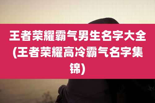 王者荣耀霸气男生名字大全(王者荣耀高冷霸气名字集锦)