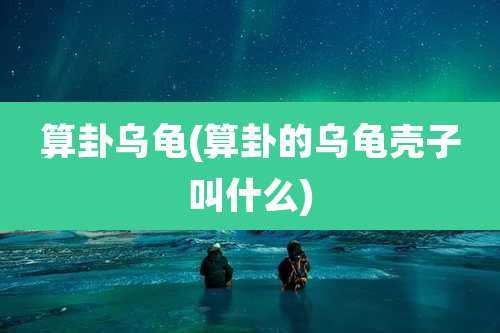 算卦乌龟(算卦的乌龟壳子叫什么)