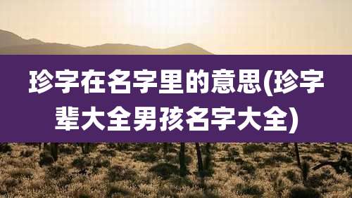 珍字在名字里的意思(珍字辈大全男孩名字大全)