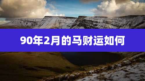 90年2月的马财运如何