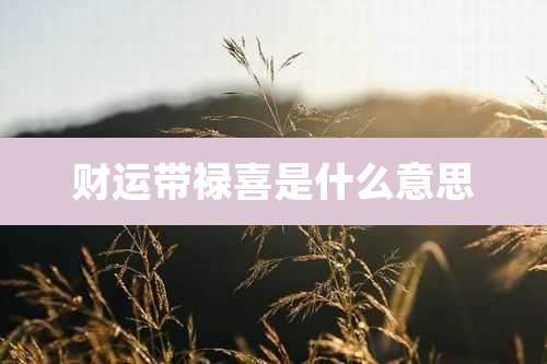 财运带禄喜是什么意思